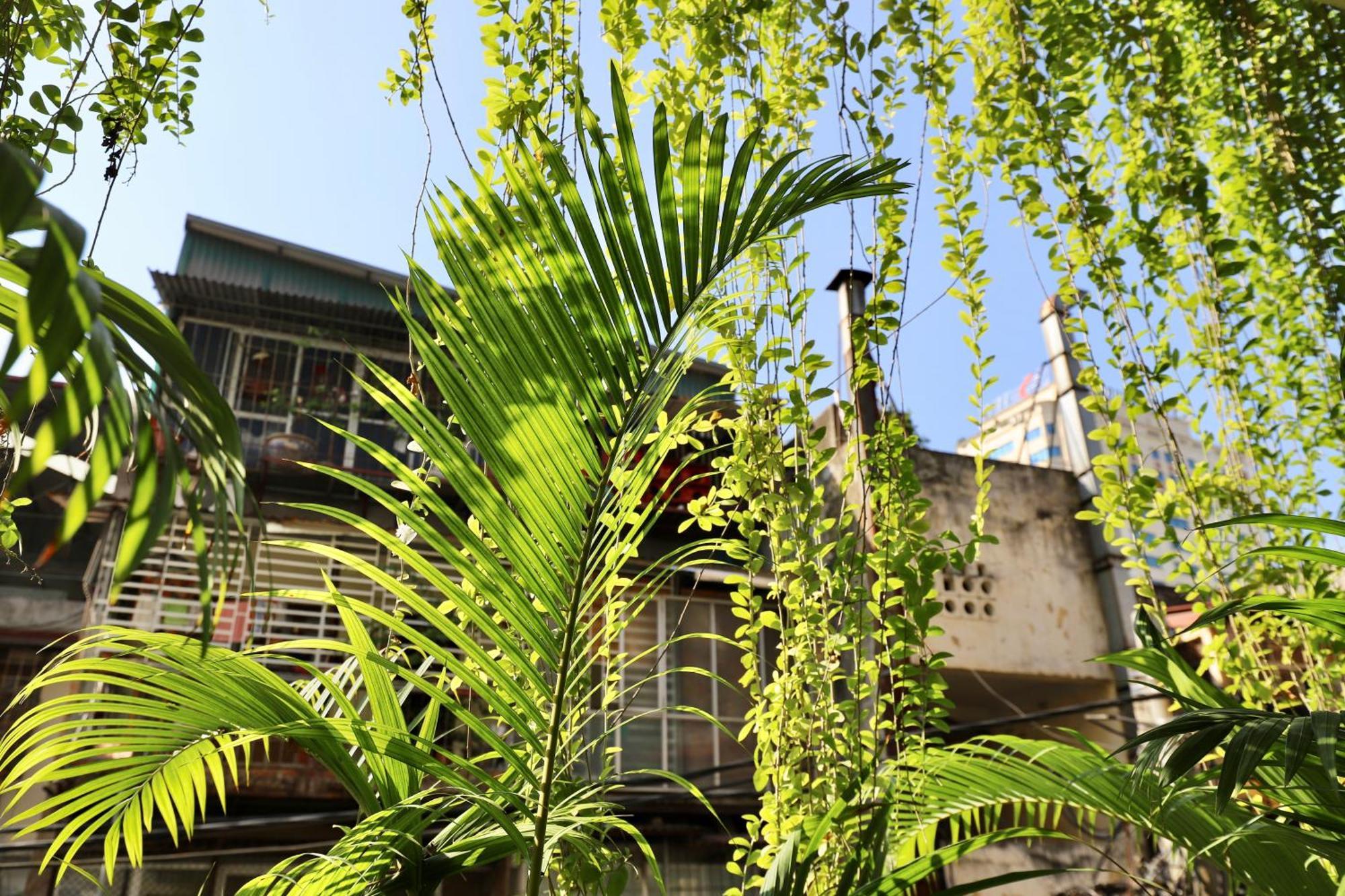 The Garden House Hanói Exterior foto