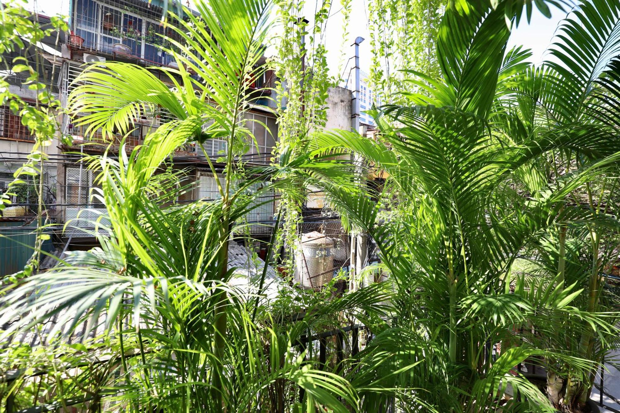 The Garden House Hanói Exterior foto